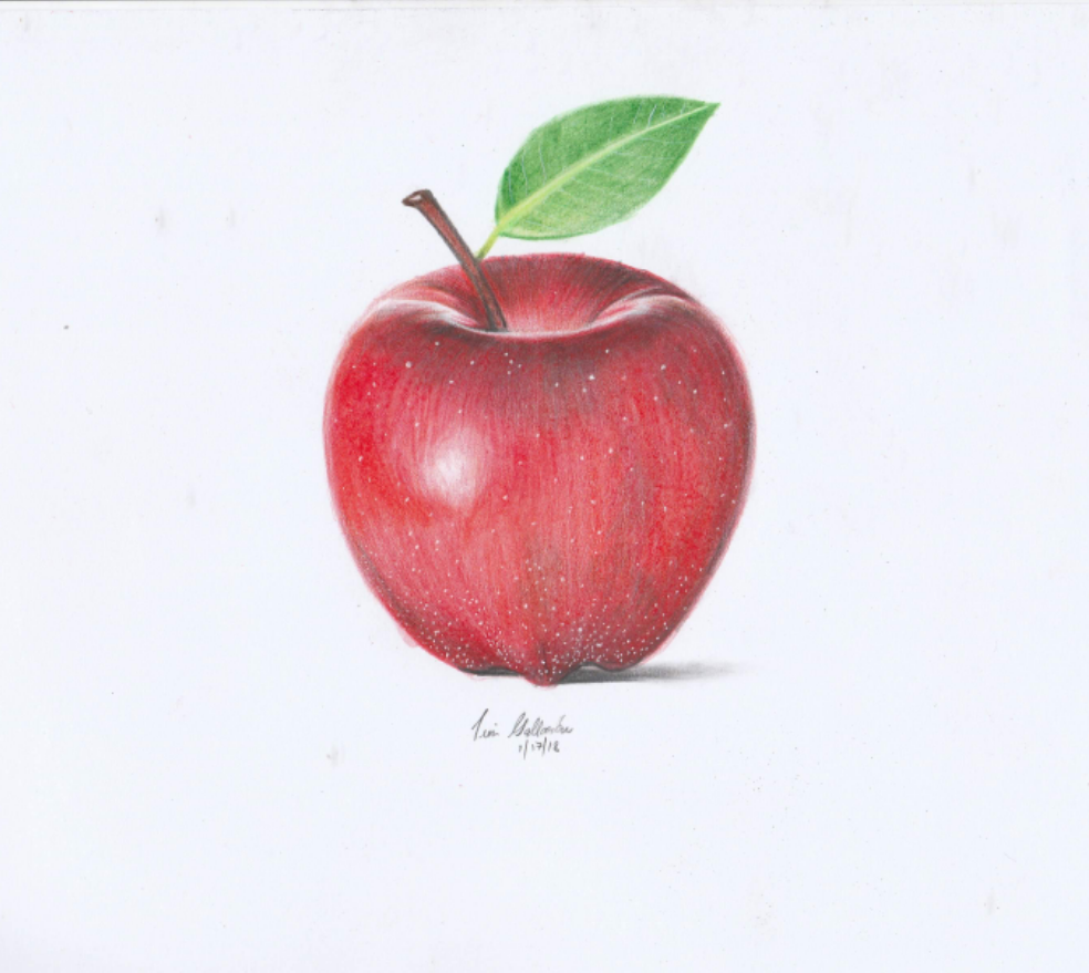 Drawing an apple - using color pencil Steemit