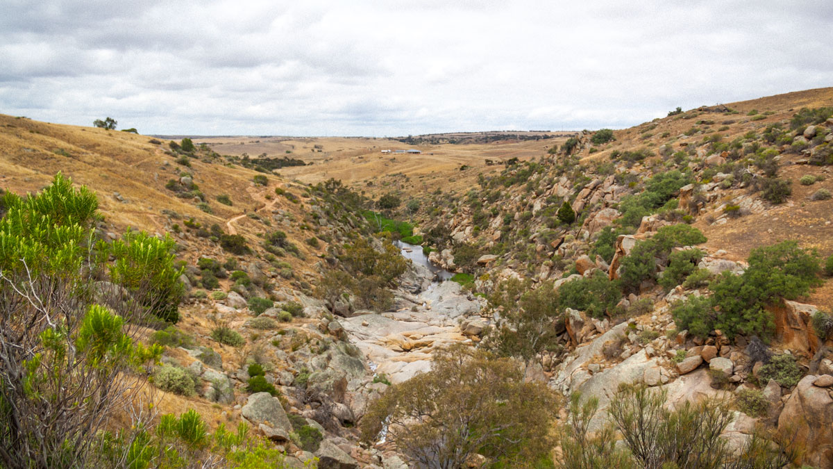 Mannum_Falls (2).jpg