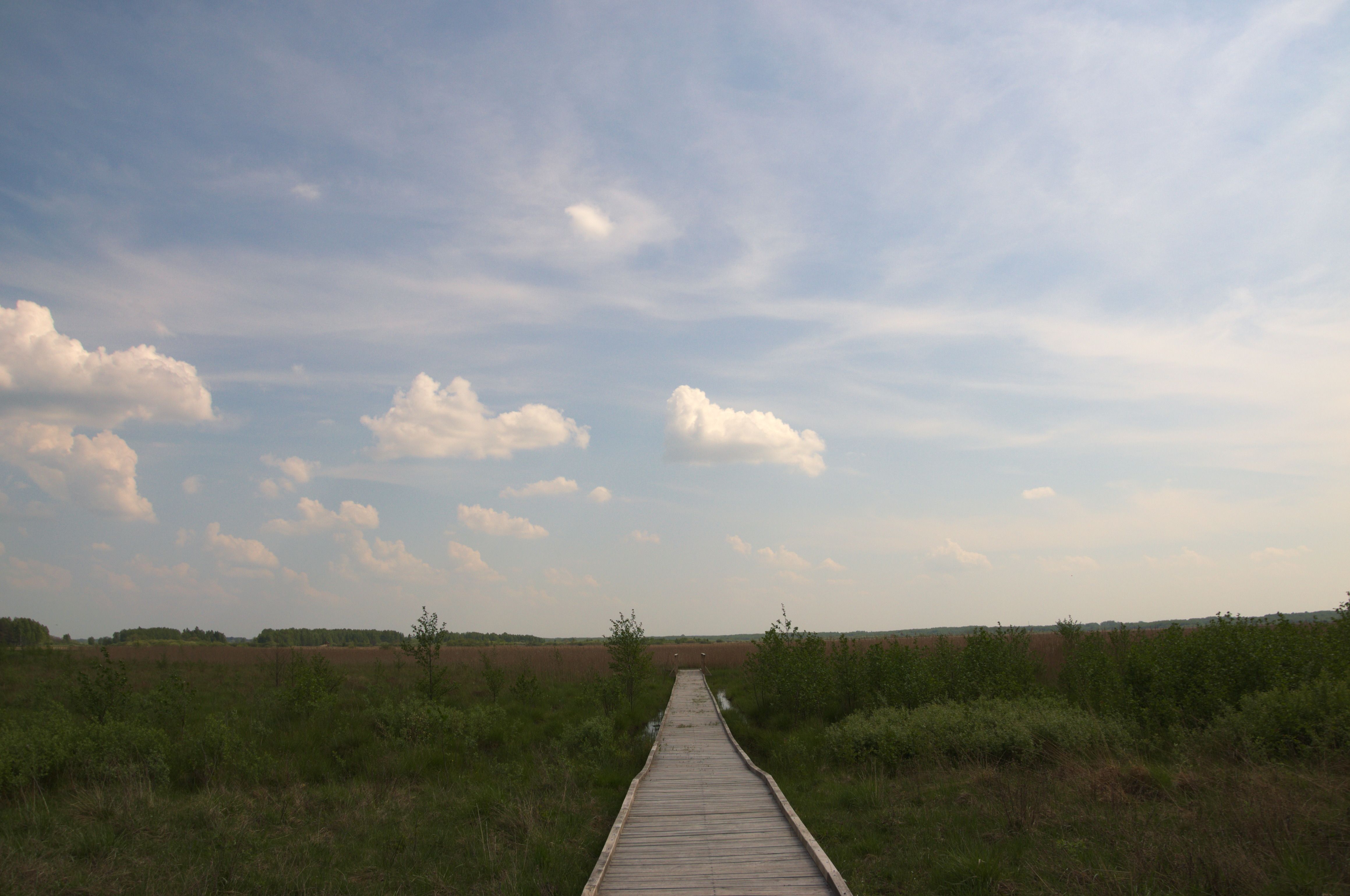 DSC_0355.jpg