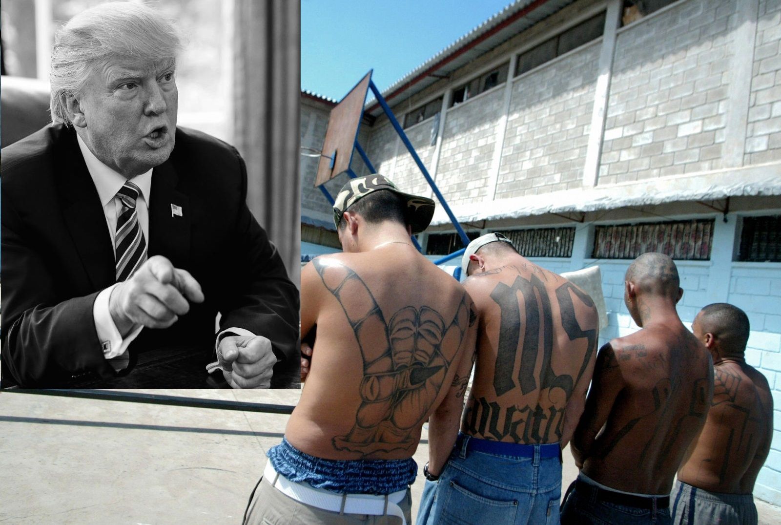 trumpms-13-gang.jpg