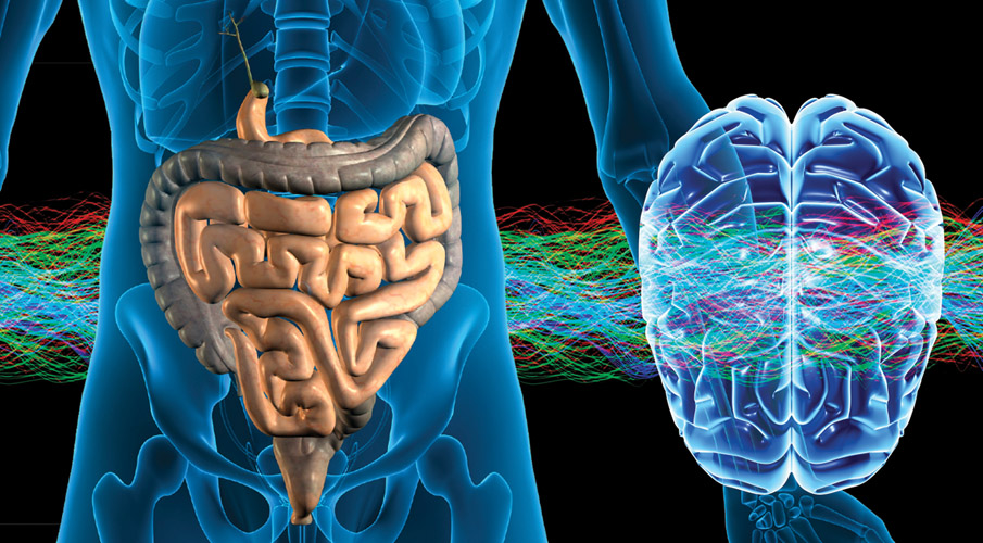 brain-gut-connection.jpg