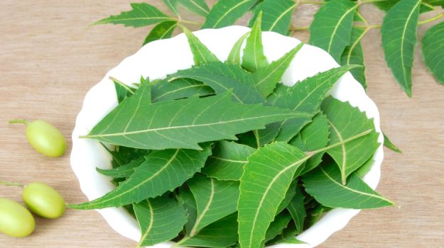 neem-leaves-uses-625_625x350_41444631794.jpg