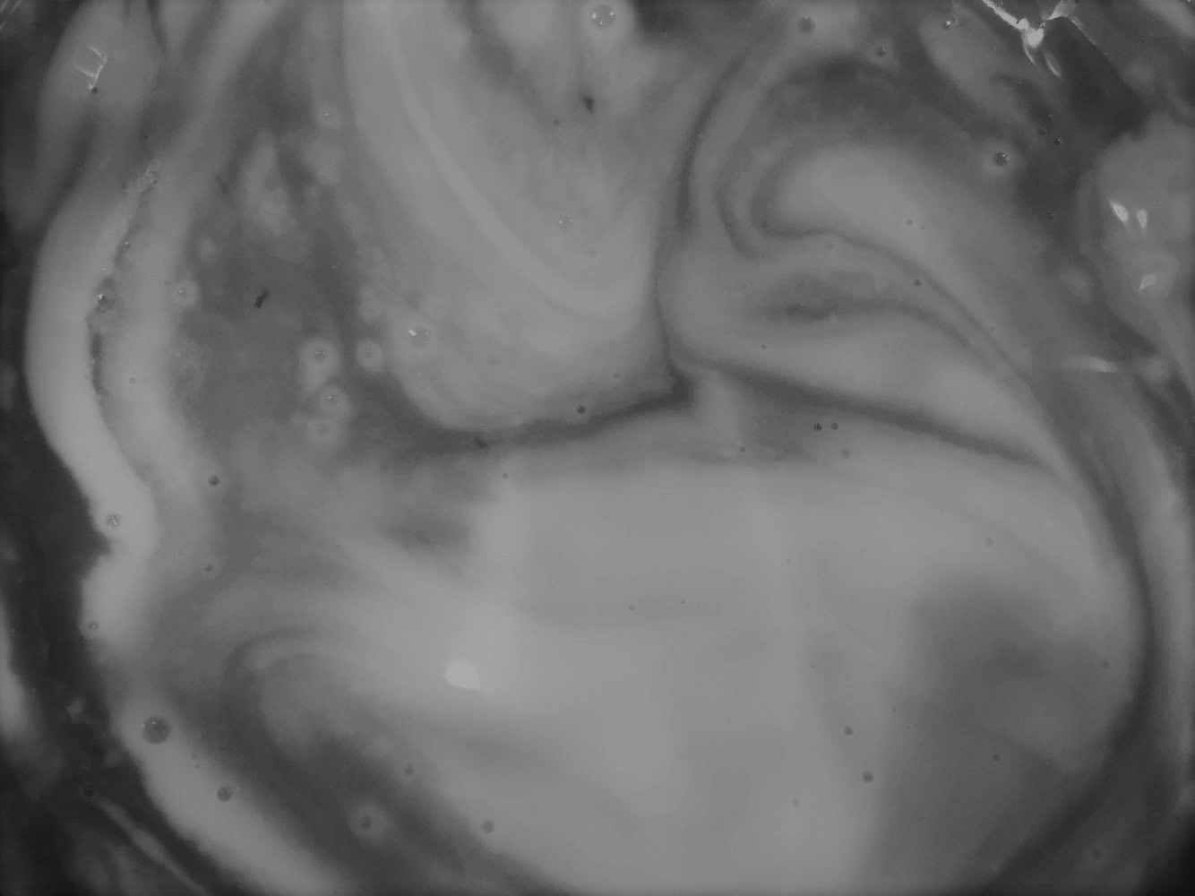 21845780_1586336178093579_2103881624_o.jpg