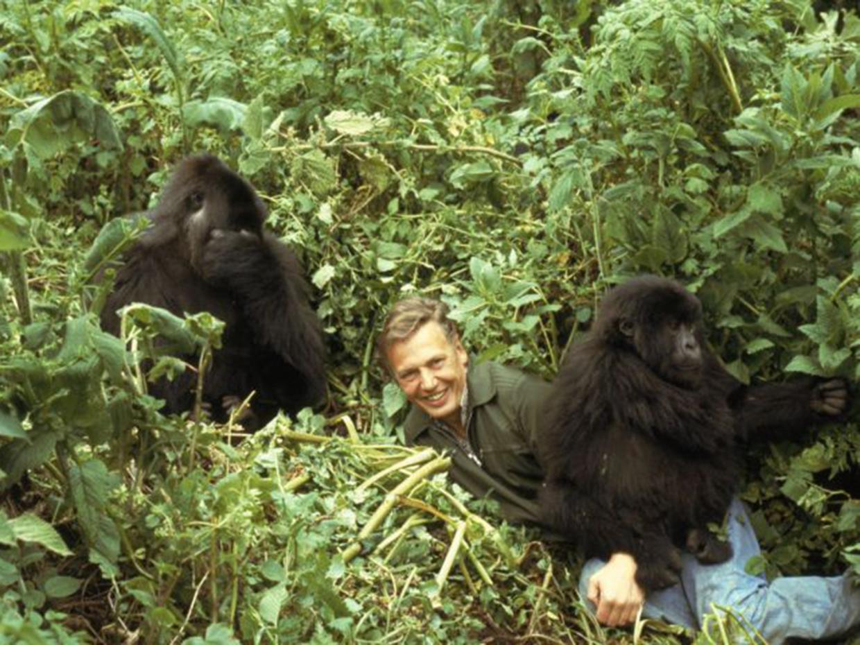 3-Attenborough-Gorillas-AFP.jpg