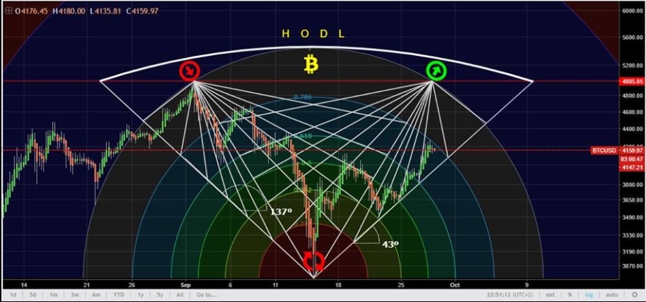 HODL.jpg