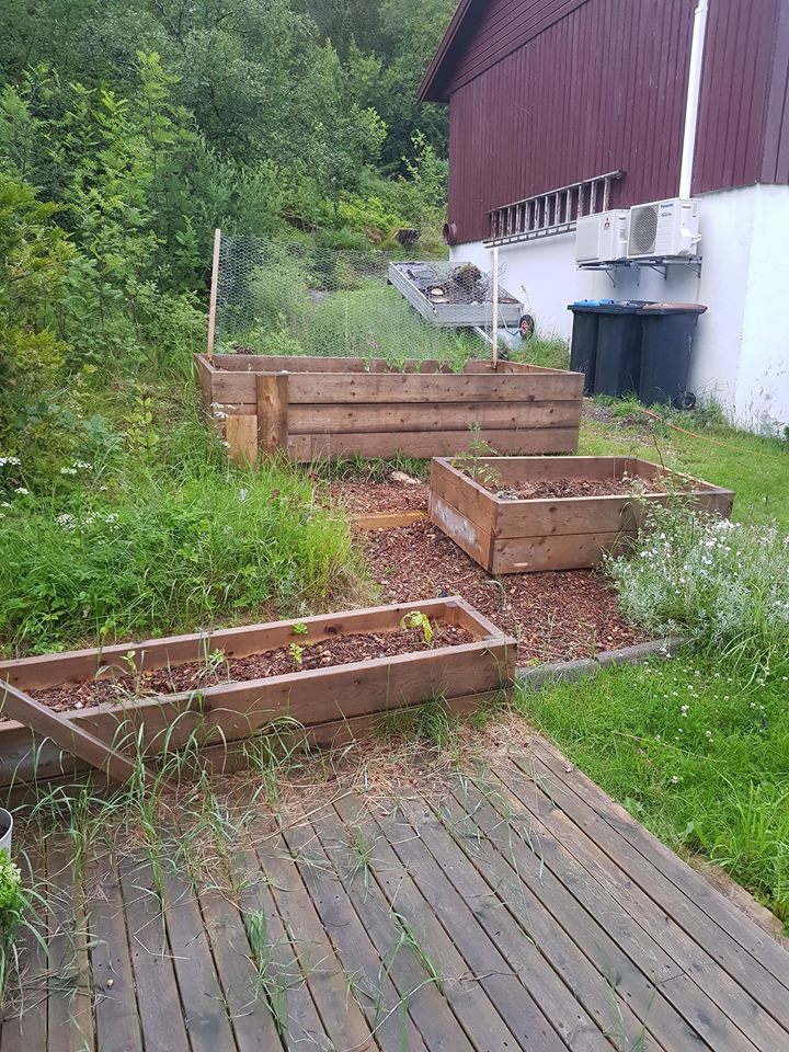 Garden beds.jpg