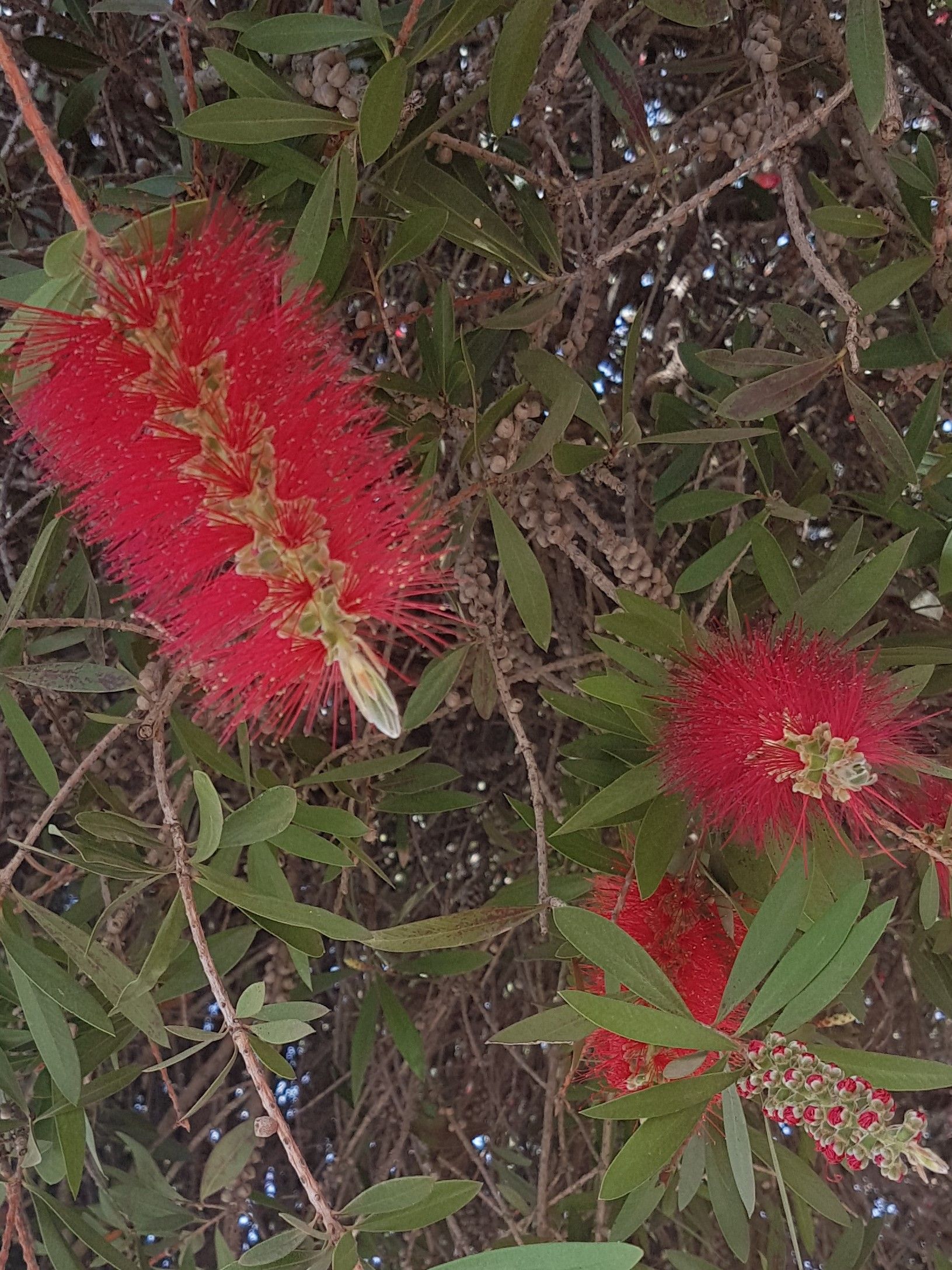 20170926_143839.jpg
