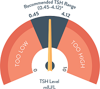 syn-140_illustration_tsh-range.png