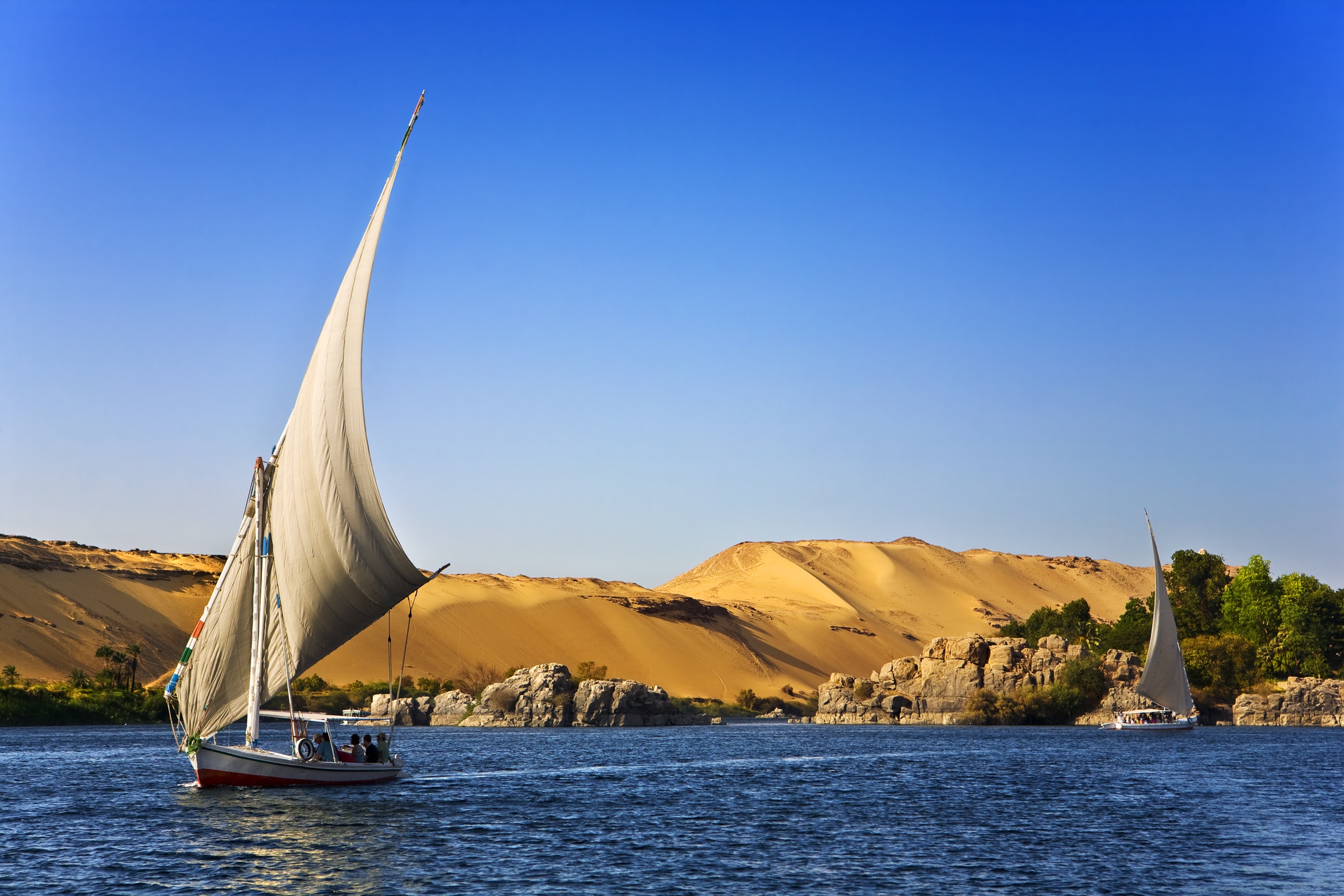 flying-carpet-339657.jpg