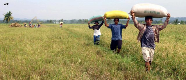 Farmers-AFP-640x278.jpg