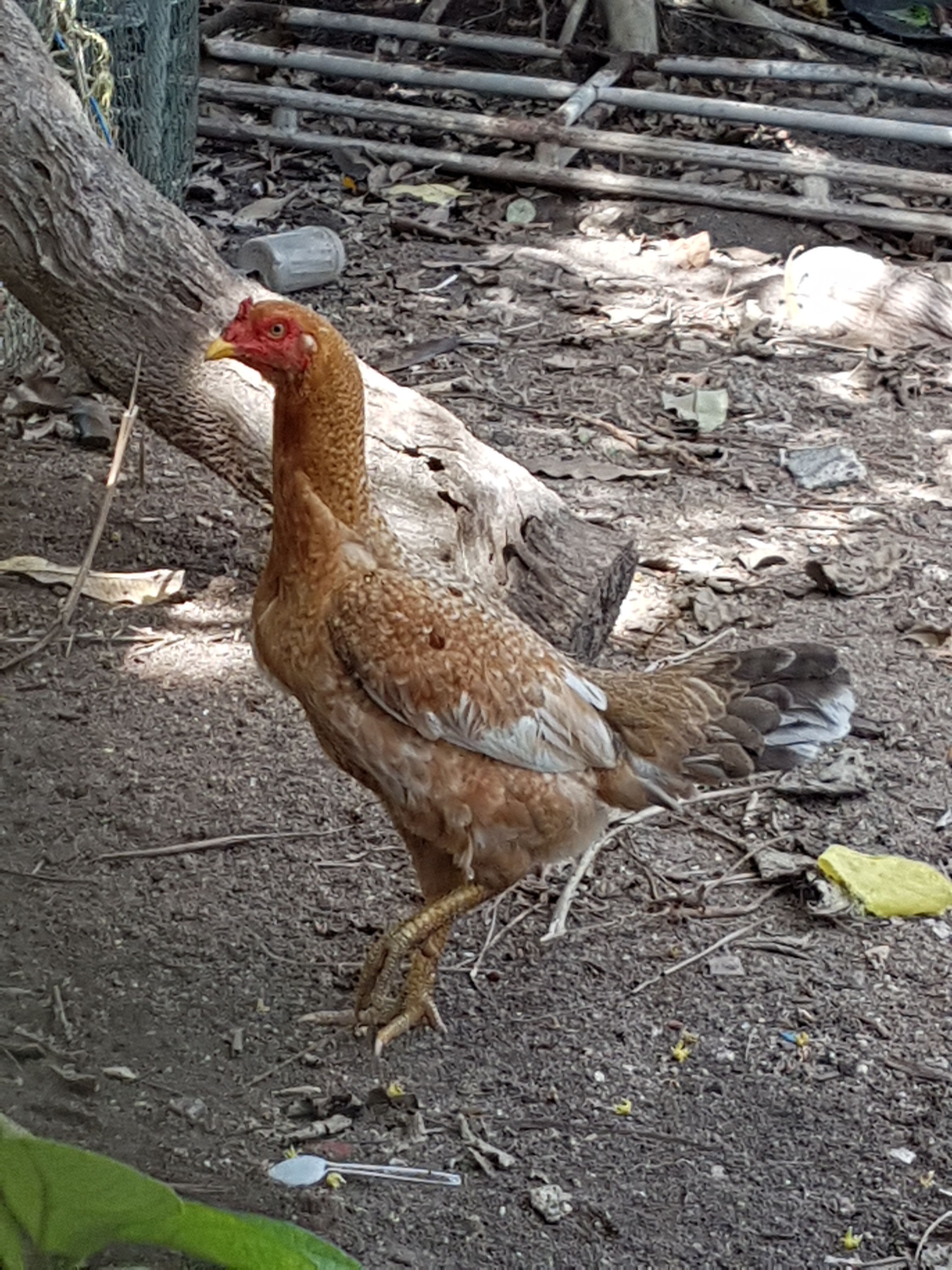 20171001_144735.jpg