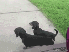 b22c40b202b8d28fed2320b8660d9f39.gif