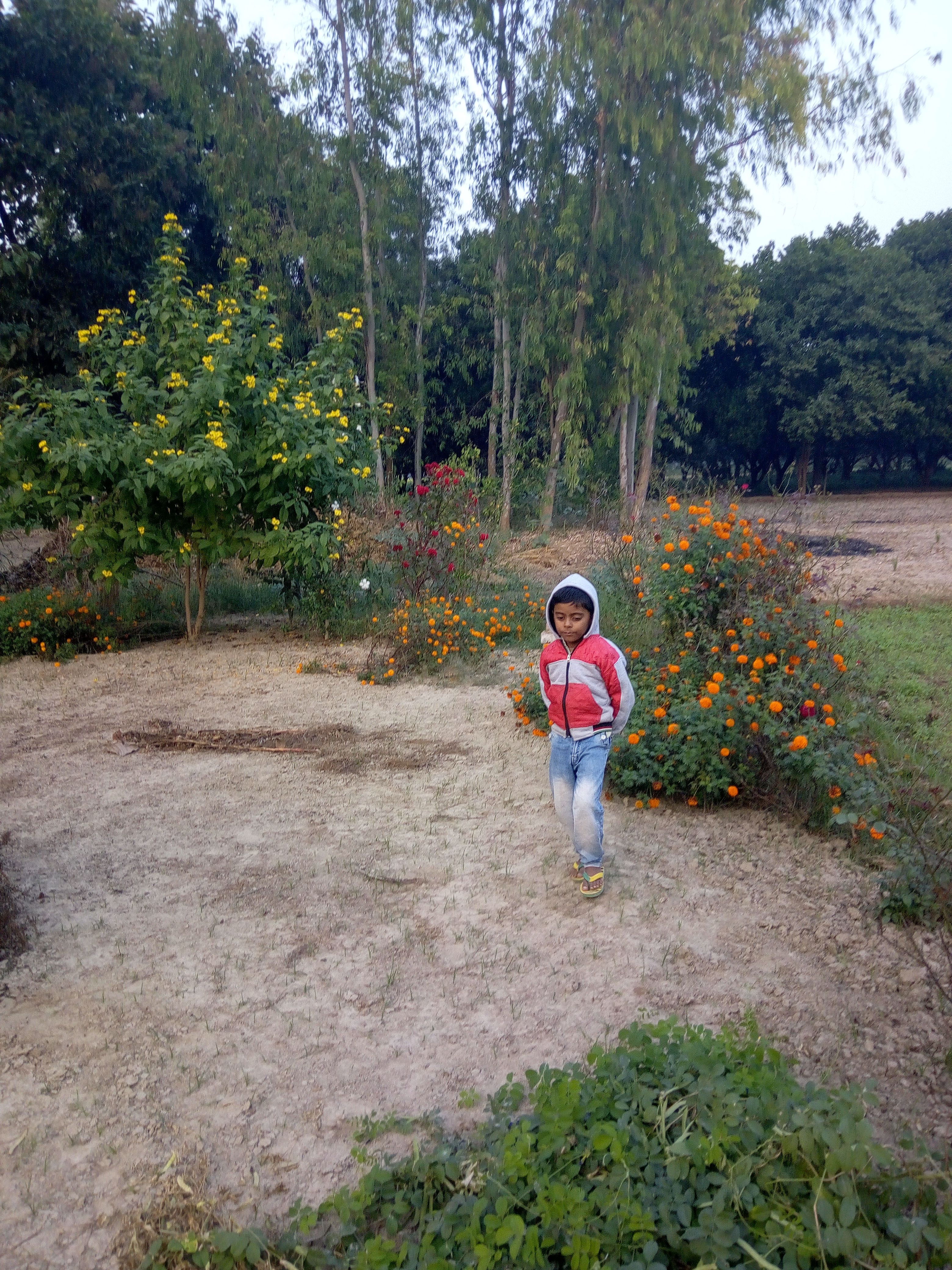 IMG_20171118_164248.jpg