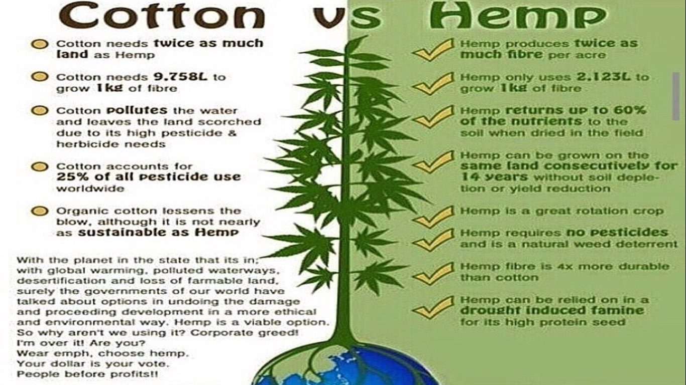 Cotton_Hemp.jpg