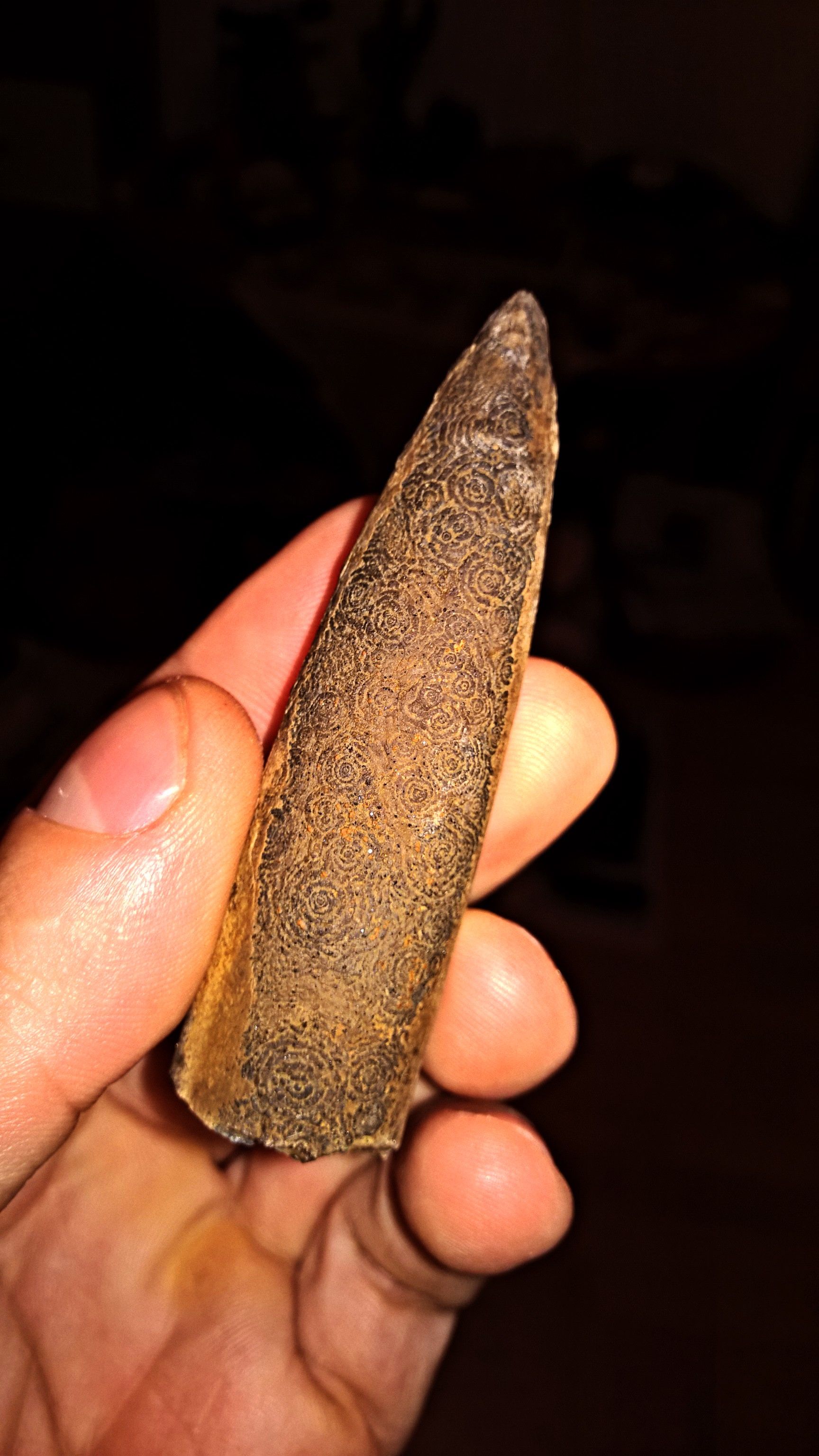 WP_20161023_00_26_04_Pro (2).jpg