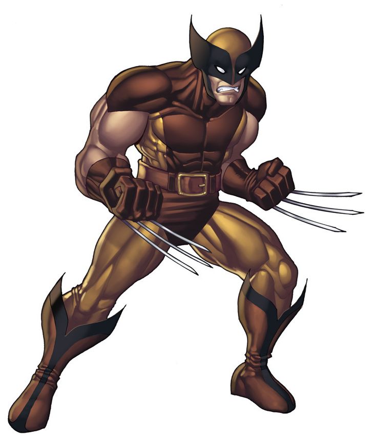 587e6db18f5751f48c6cb72b3e46b52d--wolverine-images-wolverines.jpg