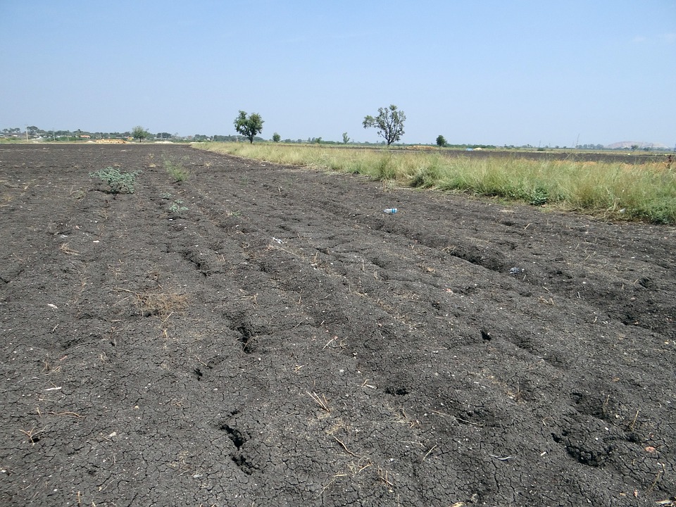 black-soil-286768_960_720.jpg