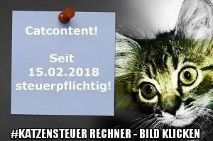 catcontent-steuerpflichtig-rechner.jpg