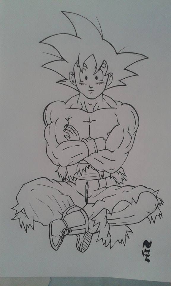goku1.jpg