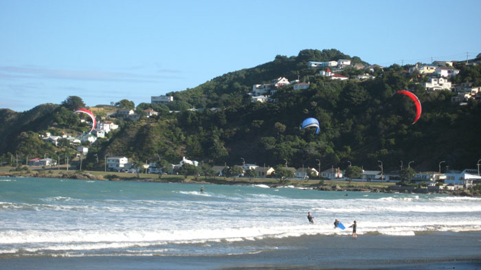 lyall.bay.jpg