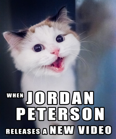 Cat-Jordan-Peterson-Meme.jpg