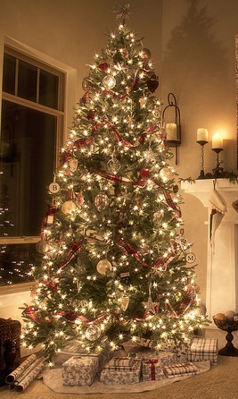 CHRISTMAS TREE.jpg