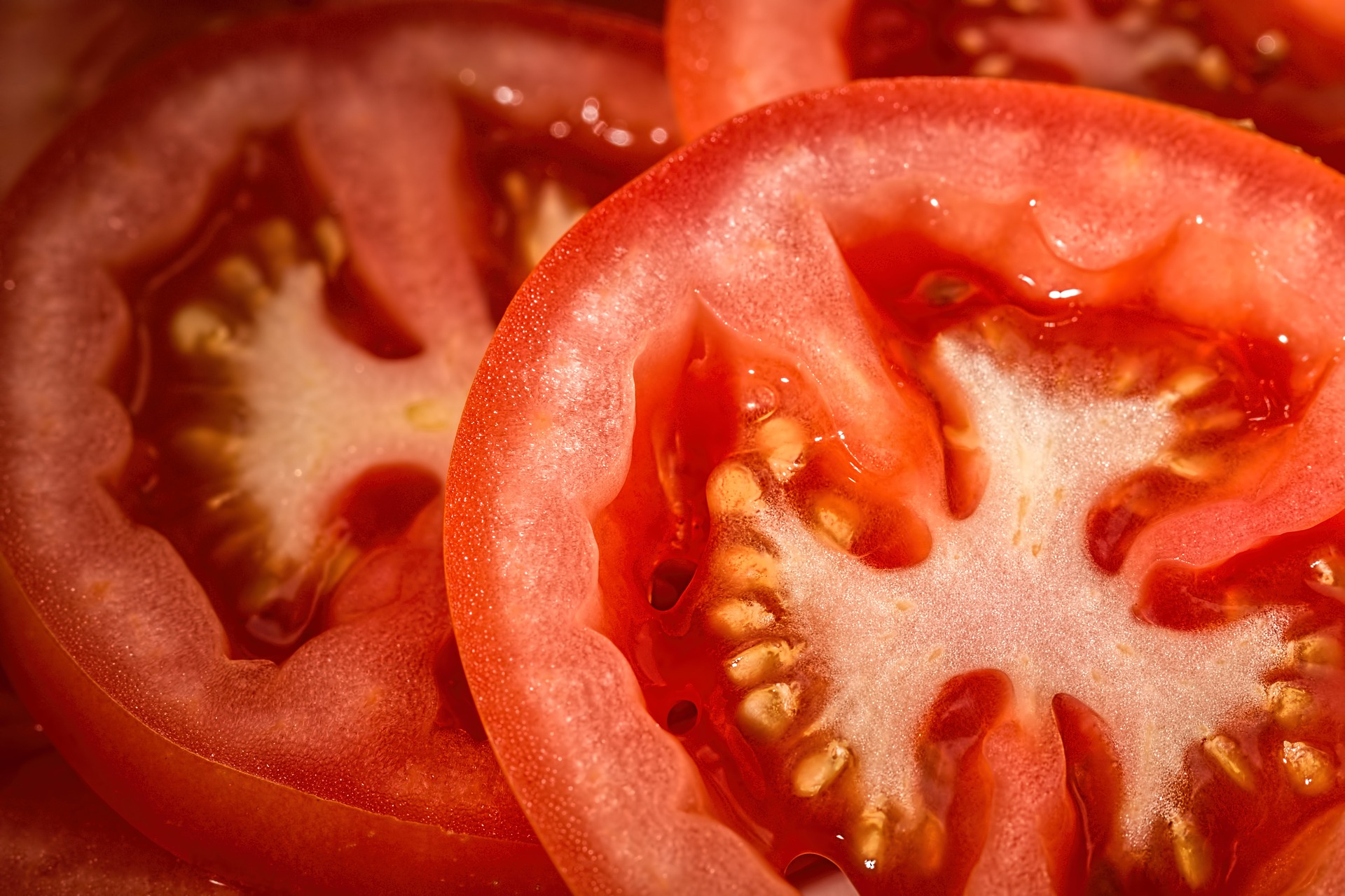 tomato-769999_1920.jpg