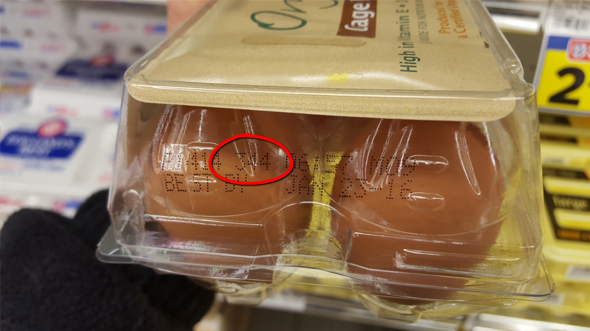 Julian-Date-on-Egg-Carton.png