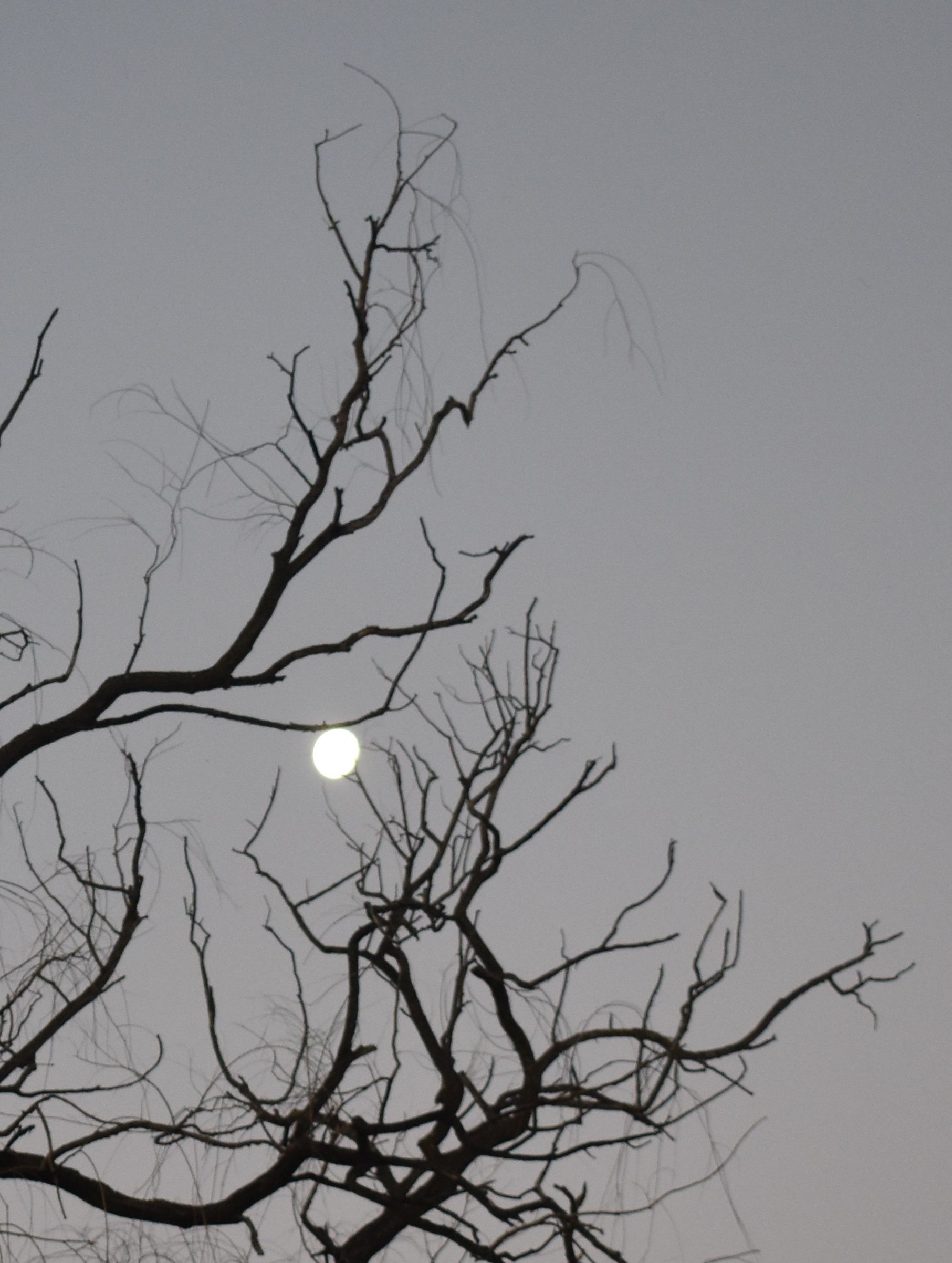 DSC_0253.jpg