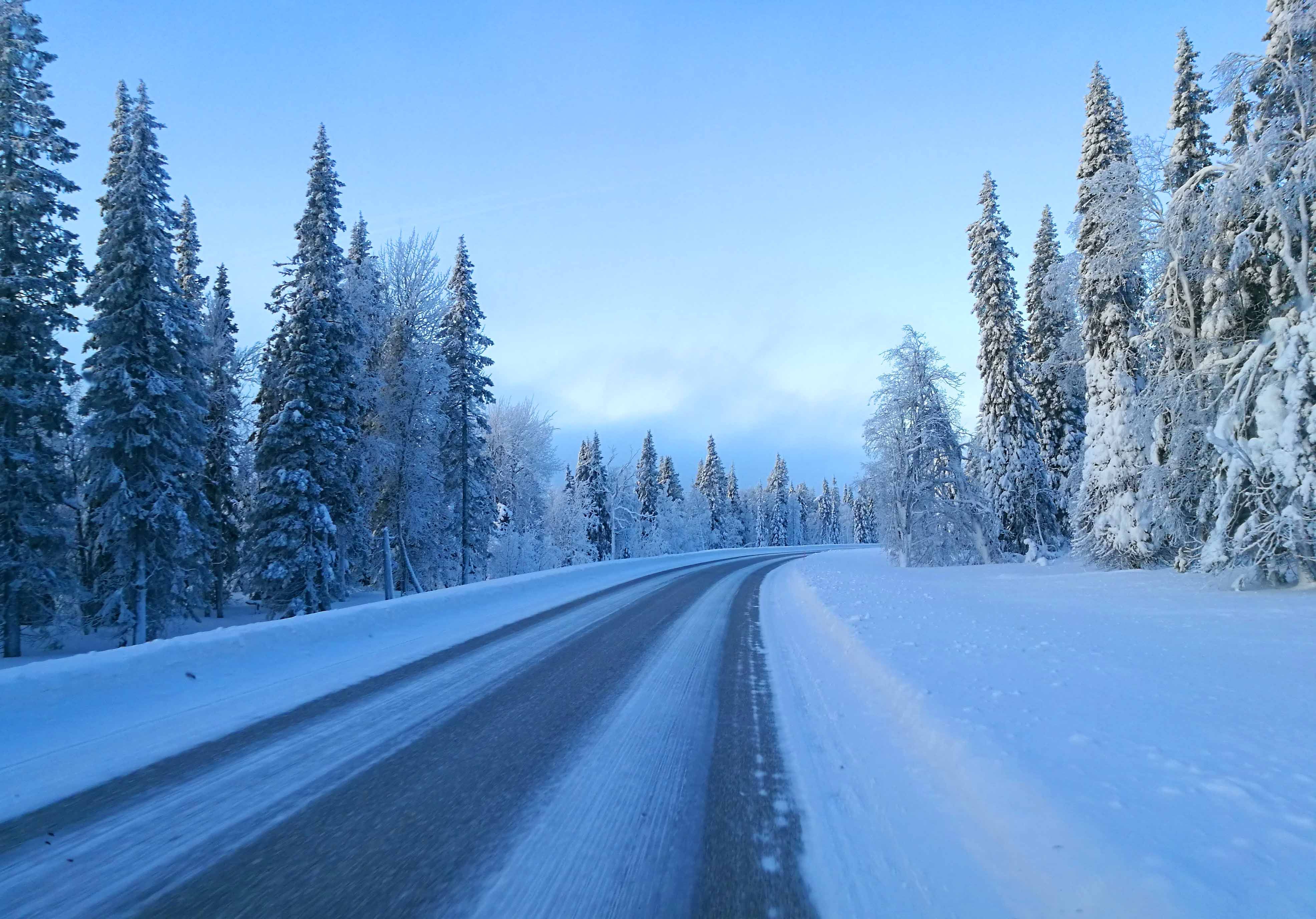 Beautiful  Winter Photography in Steemit Blog