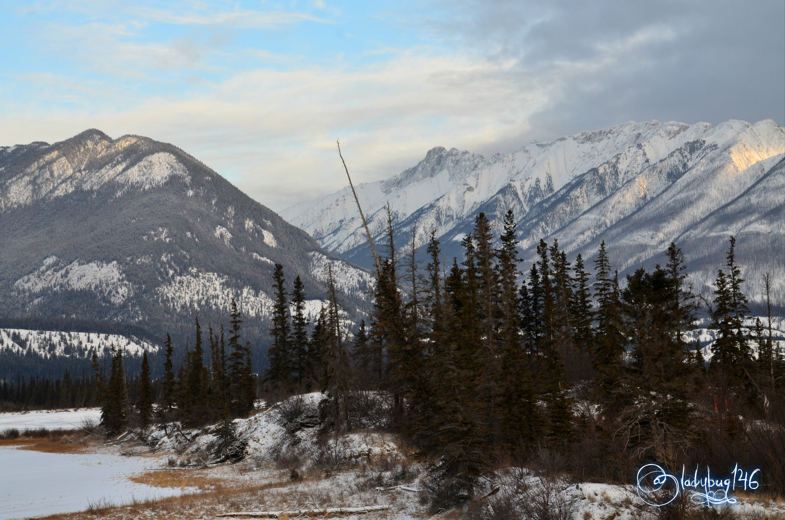 jasper national park18.jpg