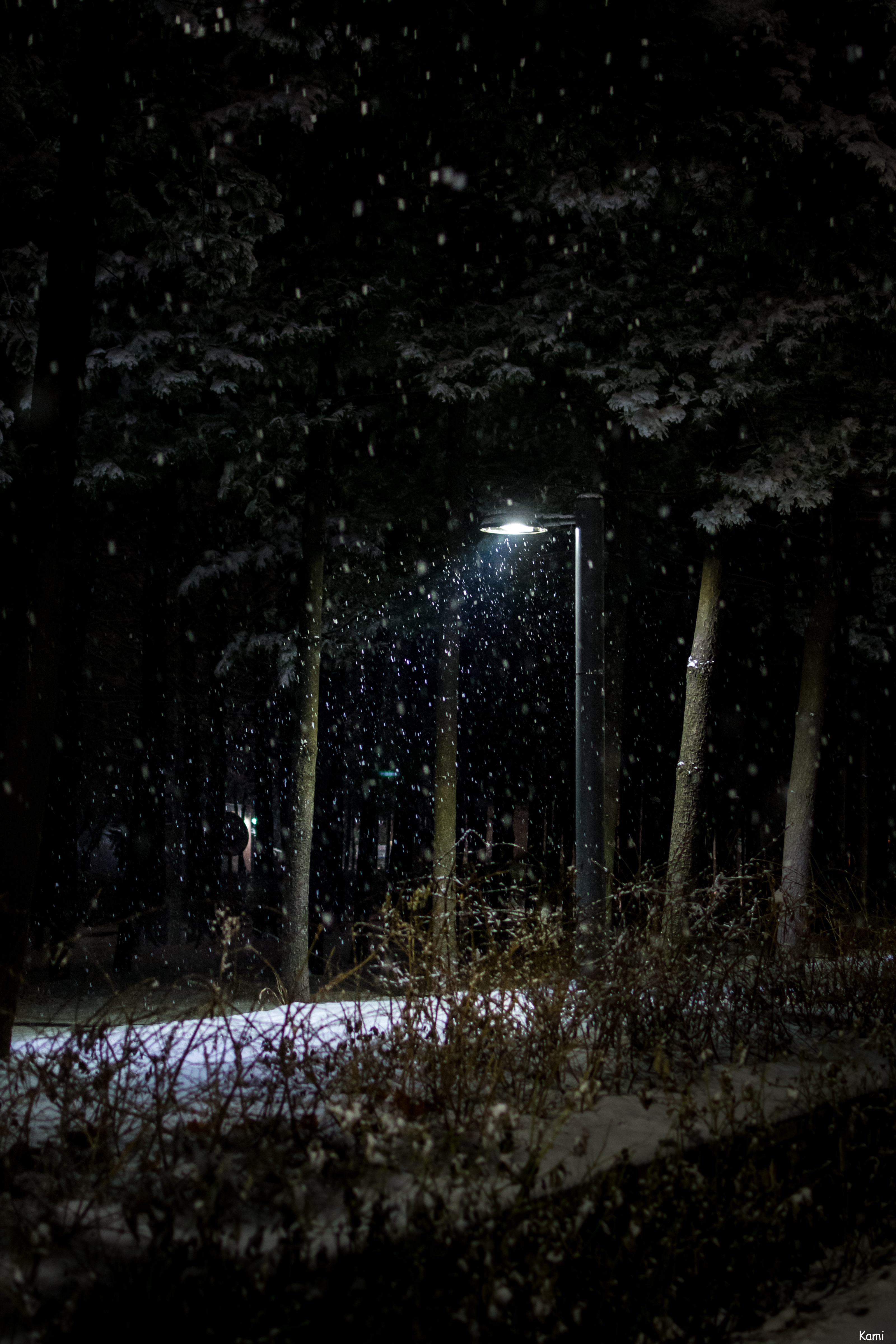_DSC3112.jpg