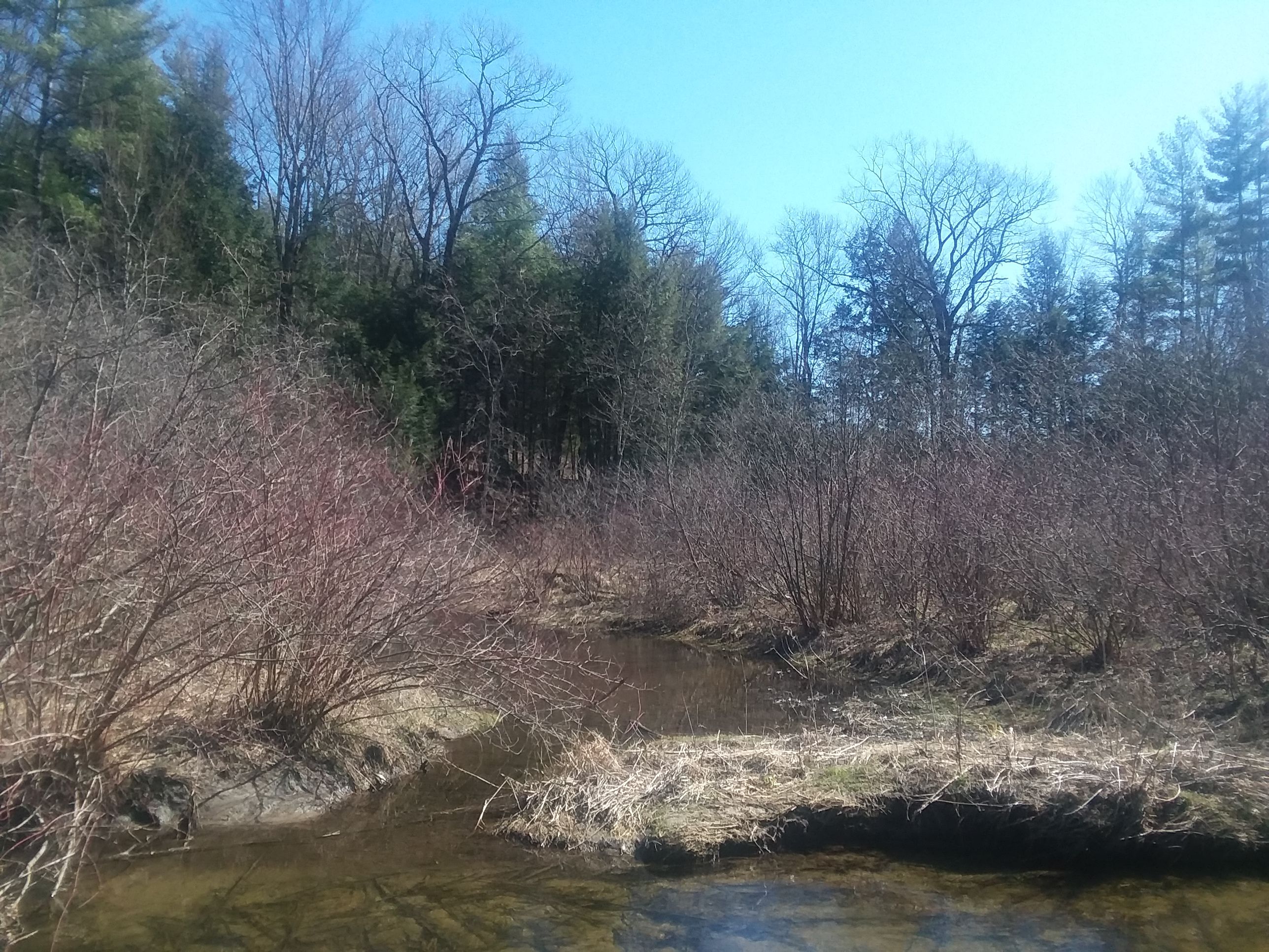 20180421_153612.jpg