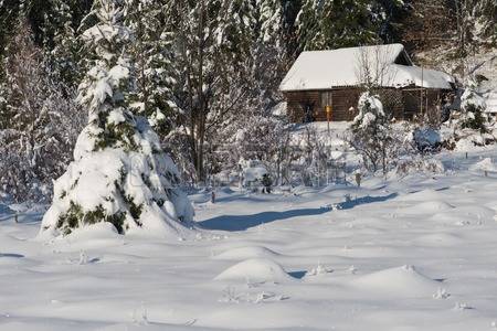 48867655-casa-de-monta-a-cerca-del-bosque-del-rbol-de-pino-peque-a-caba-a-cubierta-de-nieve-fresca-en-la-natu.jpg