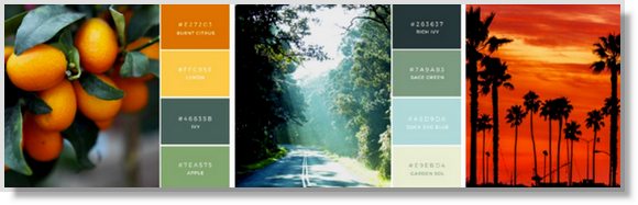 types-of-visual-social-media-posts-10.jpg