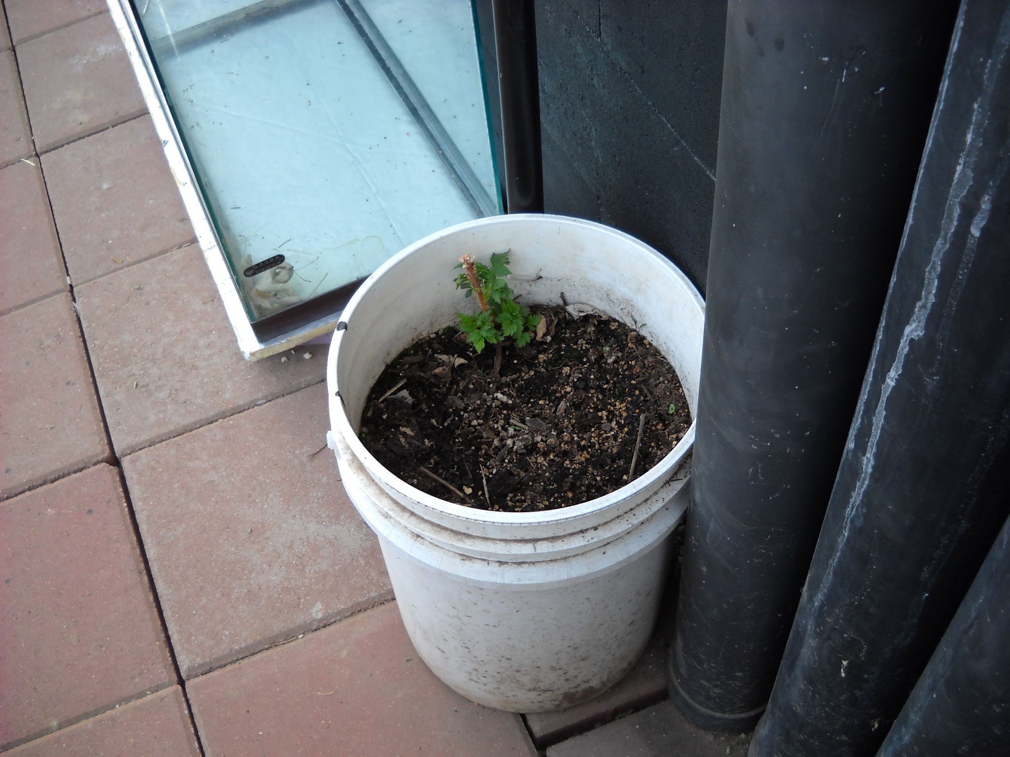 DSCN8660.JPG