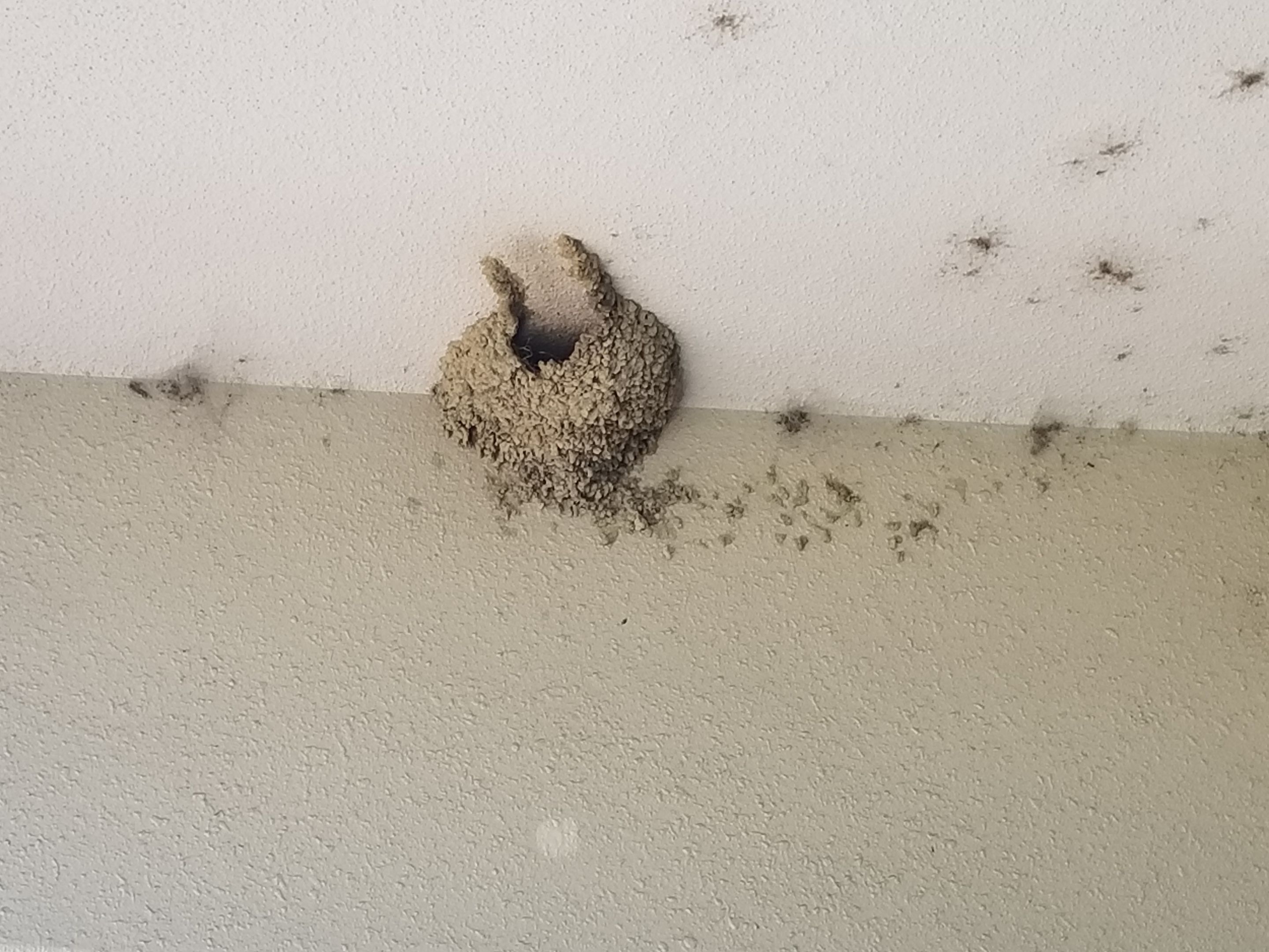 20180521_131016.jpg