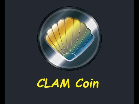 clam.jpg