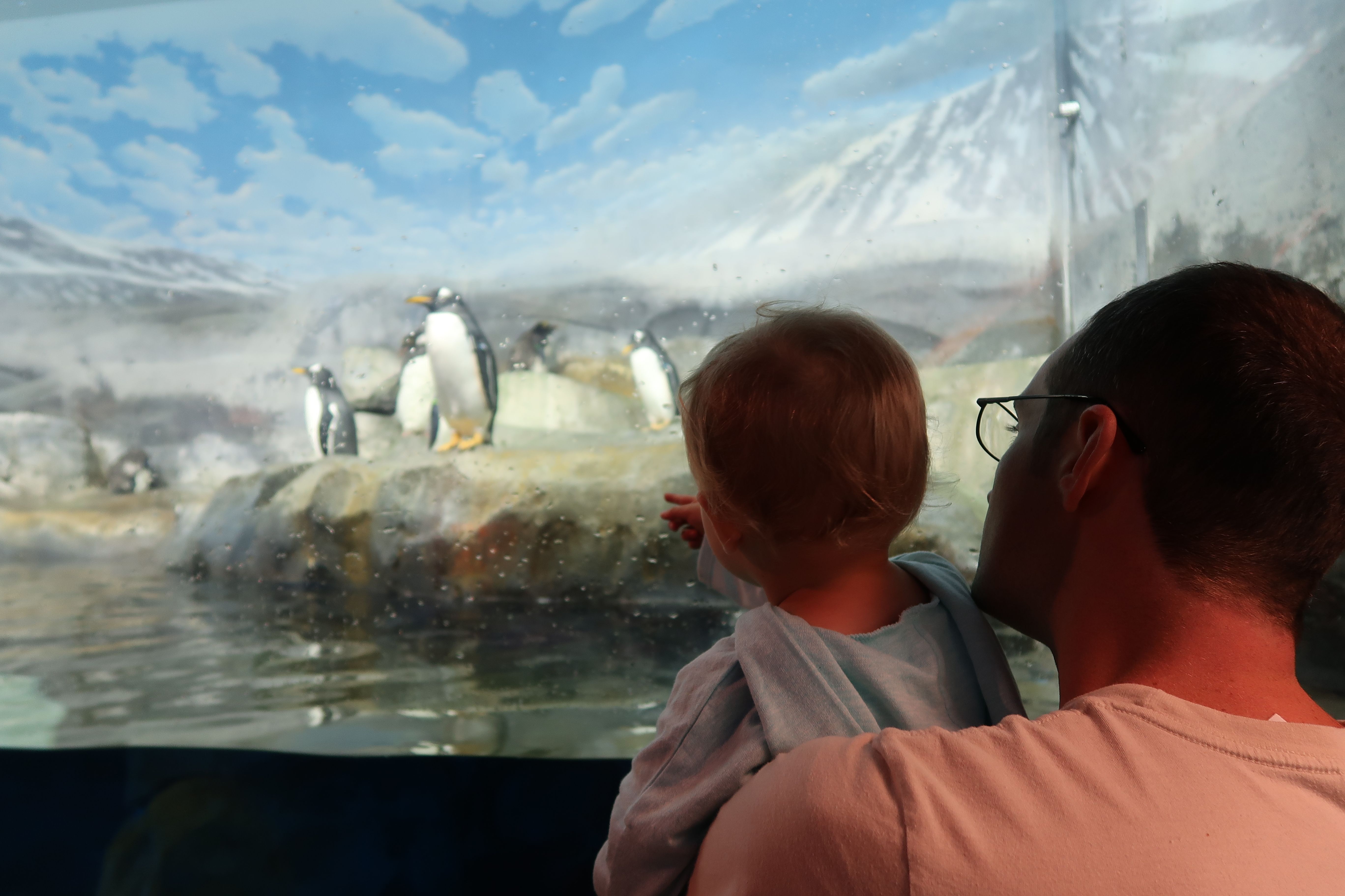 Madeleine loves penguins The Tennessee Aquarium in Chattanooga.JPG