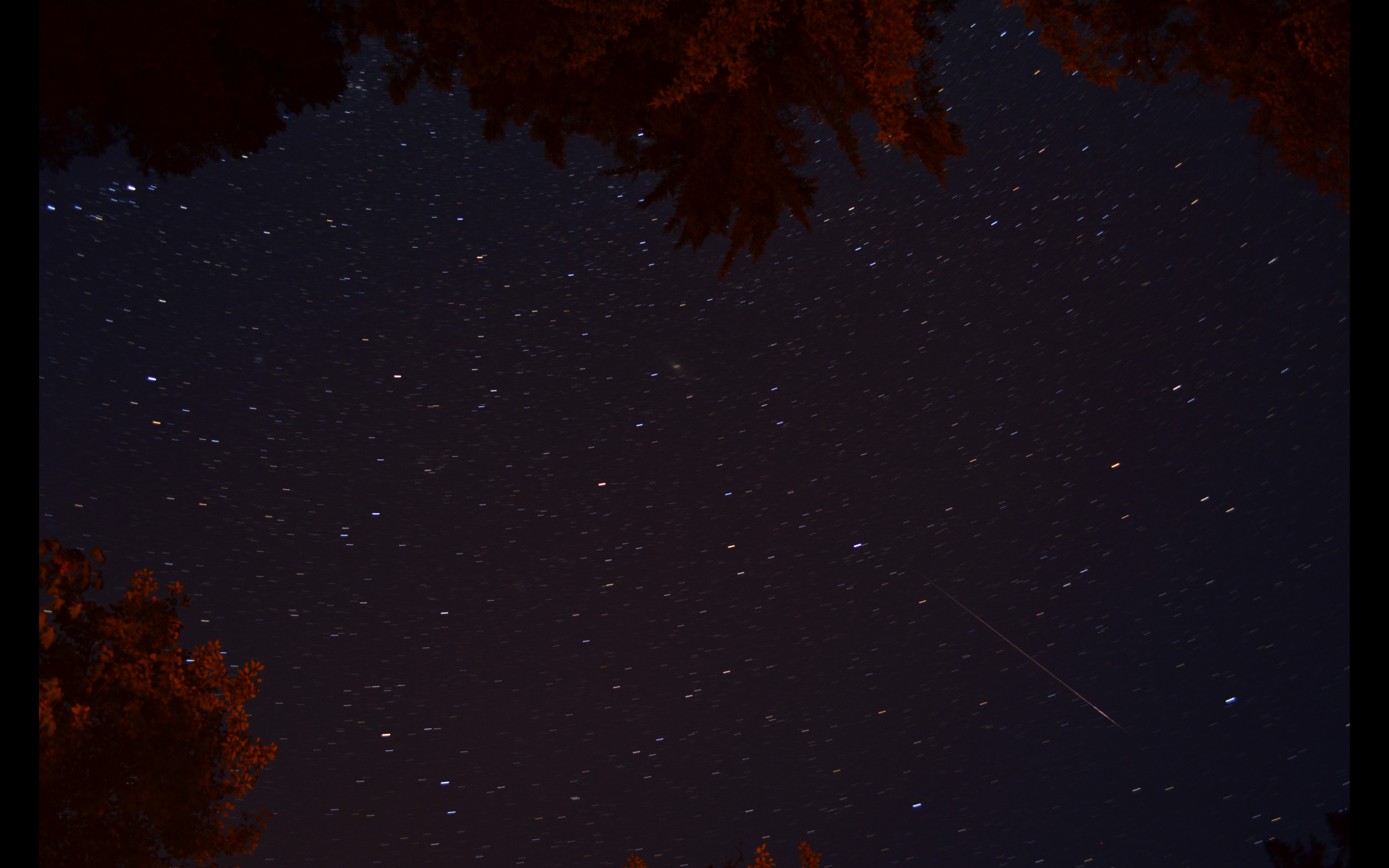 Campfire under the Perseids.jpg.png