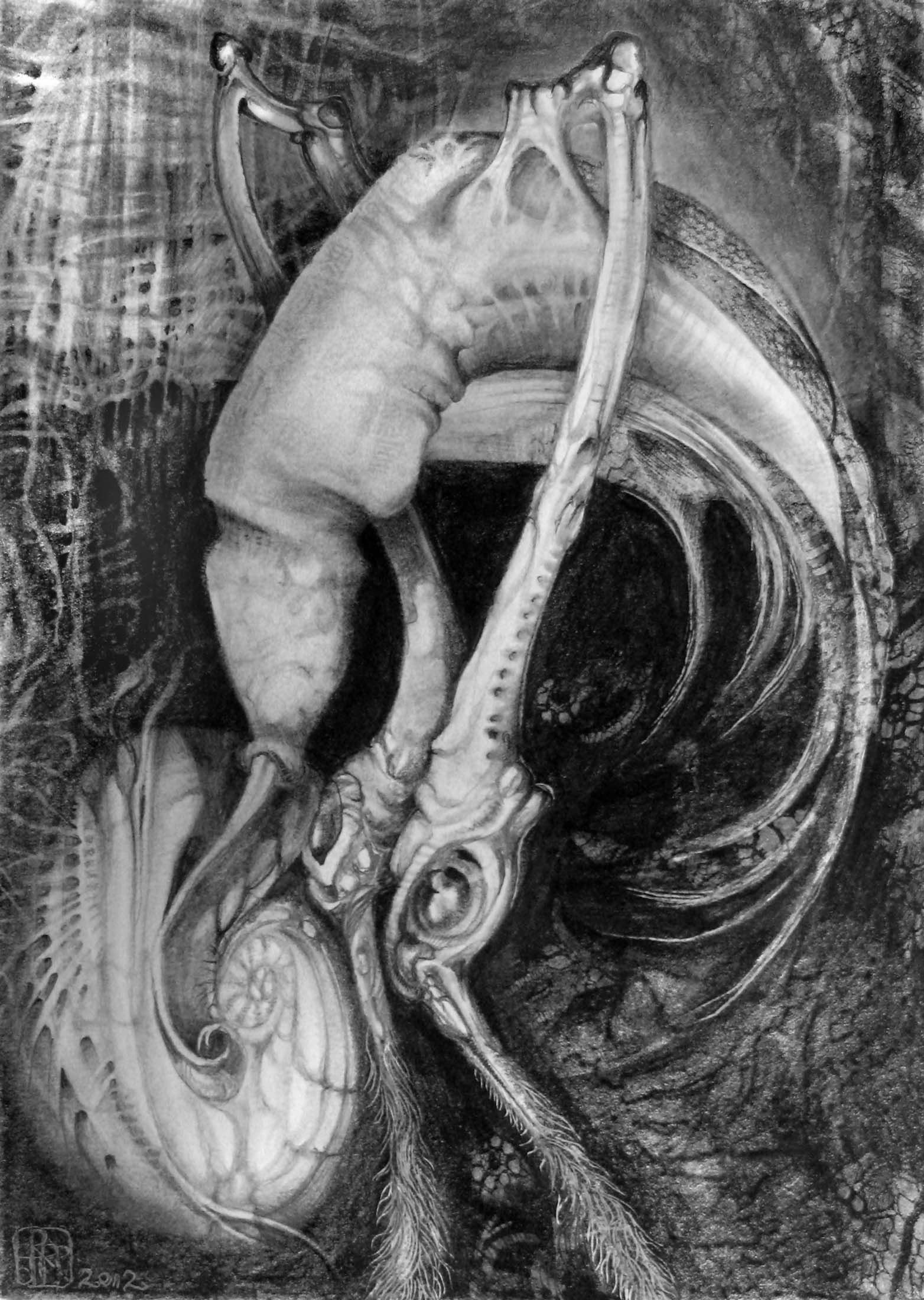 LOOK WHAT I FOUND - smweb2200.jpg