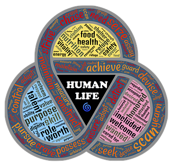nutshell-2122598__340.png