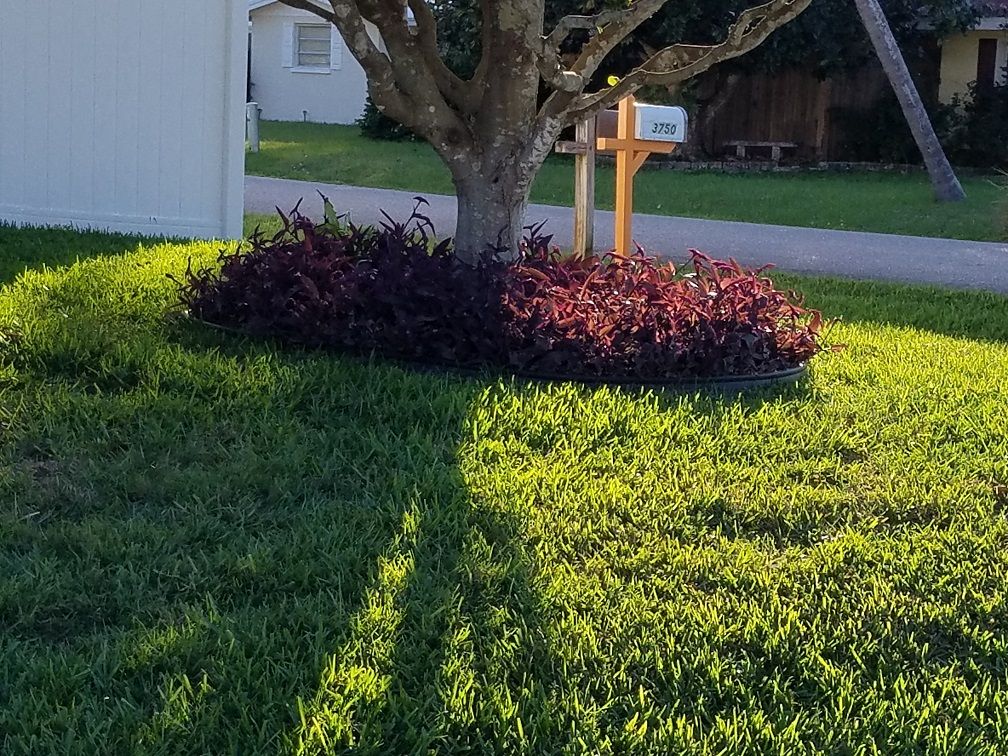 20180304_171905.jpg
