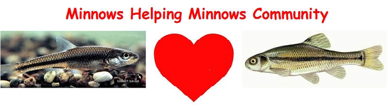 minnows helping minnows logo.jpg