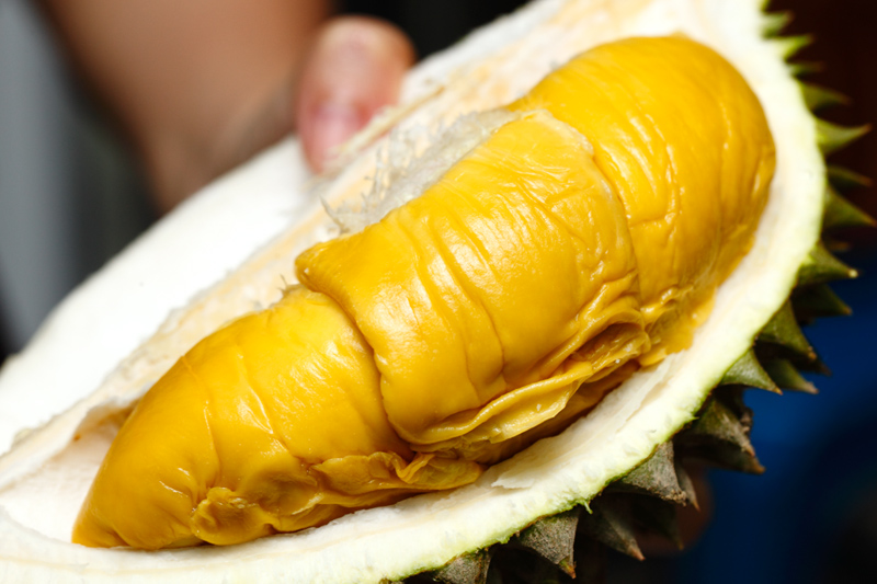 musang king.jpg