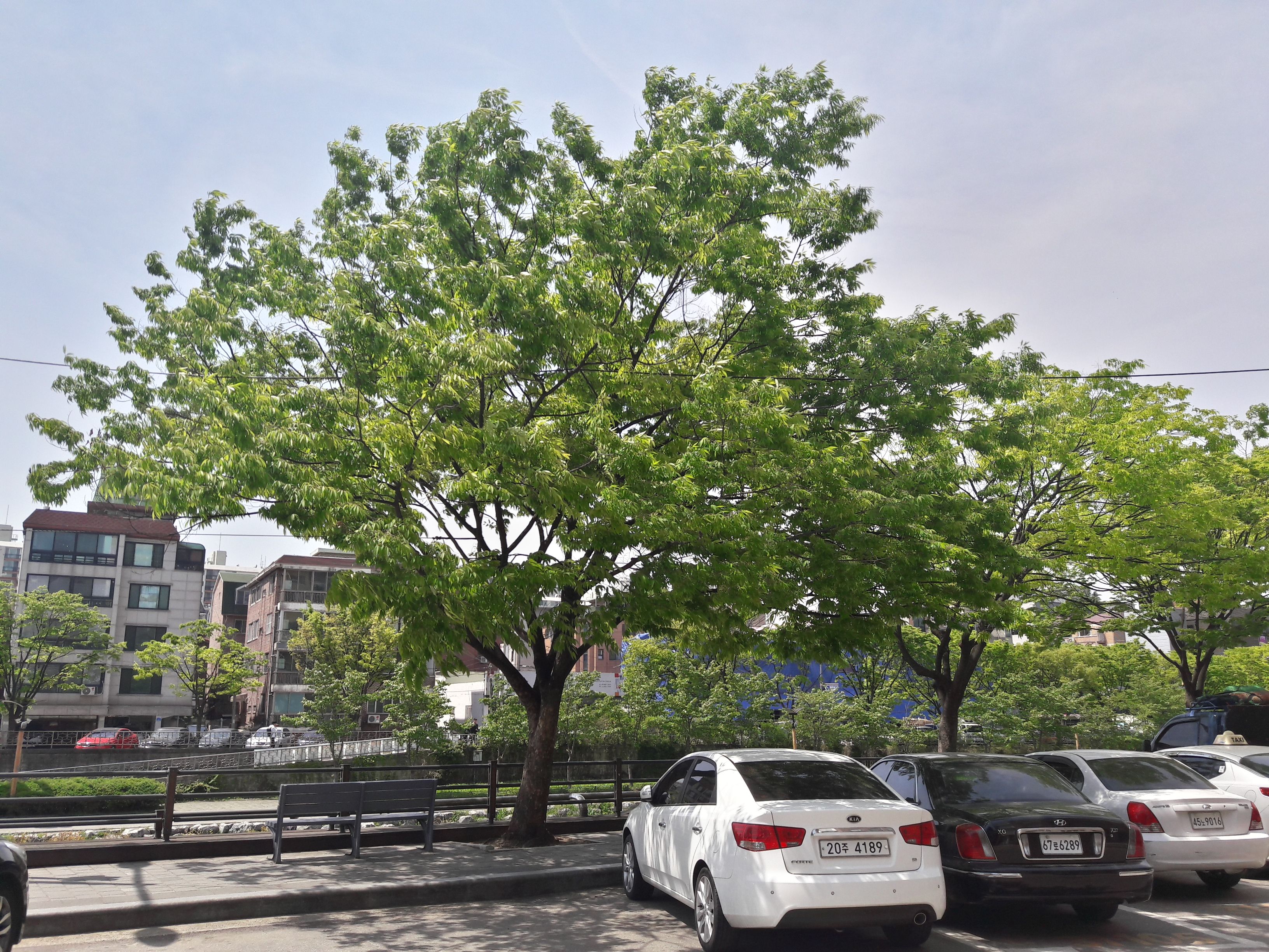20170424_114255_Richtone(HDR).jpg