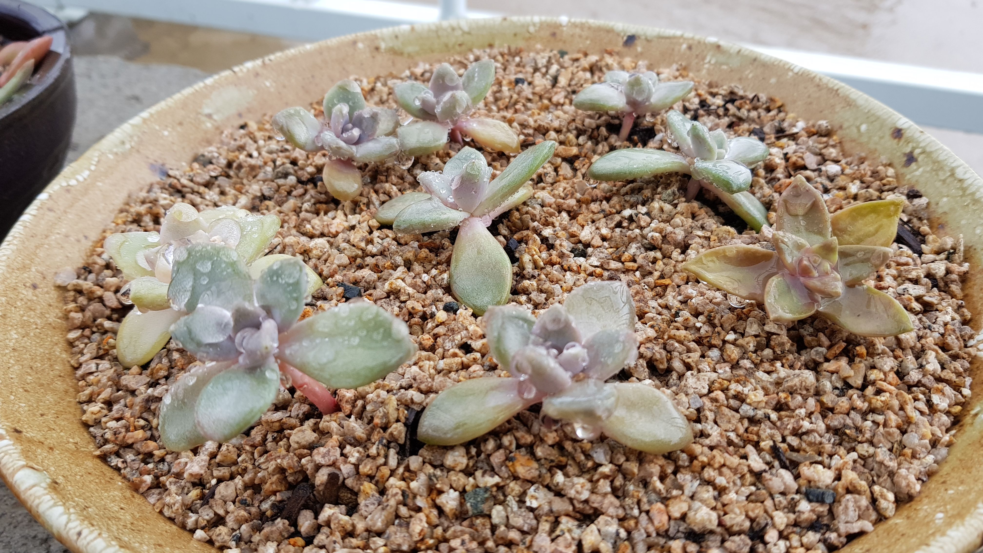 20180414_100608.jpg
