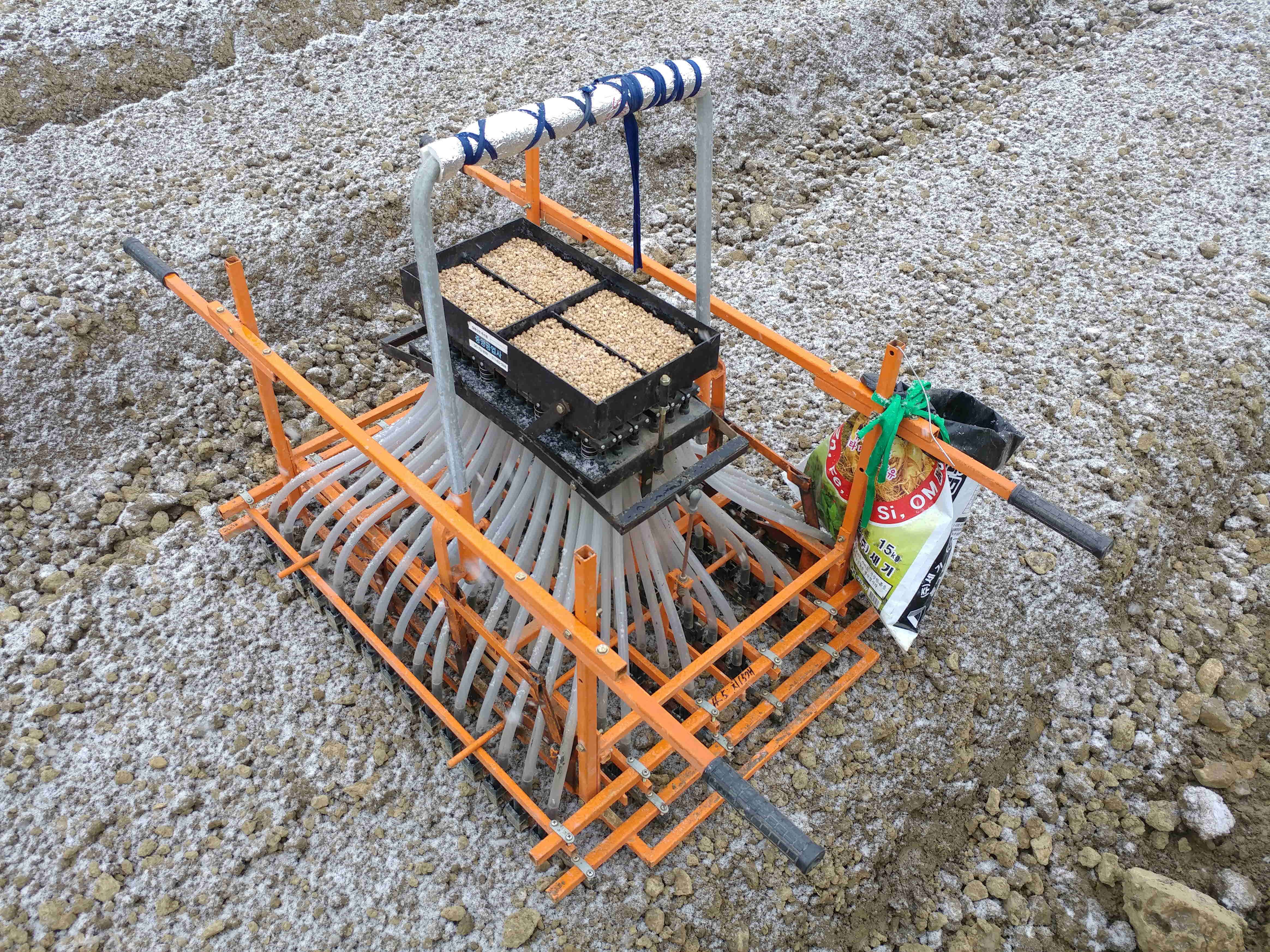 인삼파종기 인삼씨앗파종 인삼파종방법 인삼심기 인삼재배 인삼농사 삼남자 보은군 개갑인삼씨앗 (11).jpg