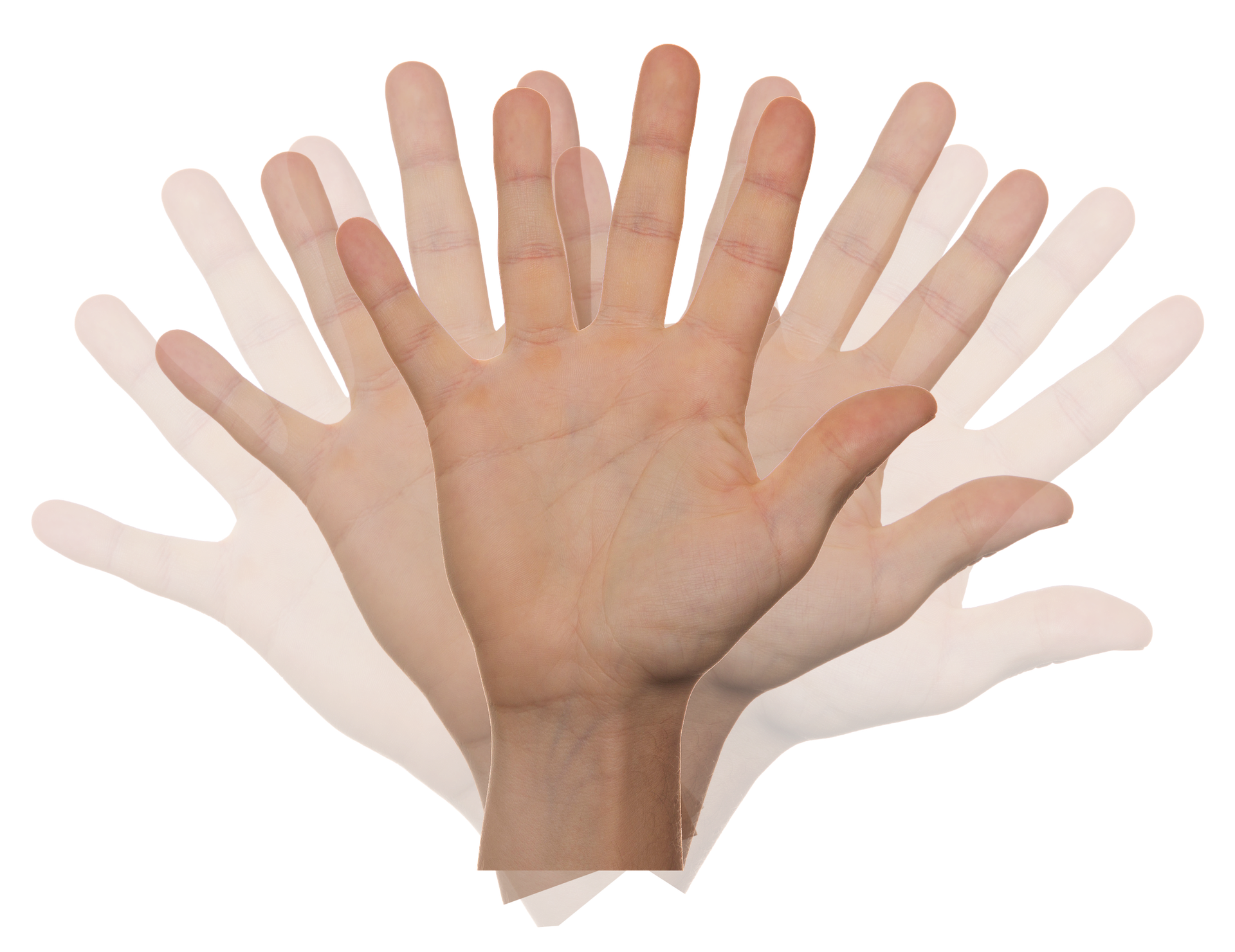 hand-2415036_1920.png