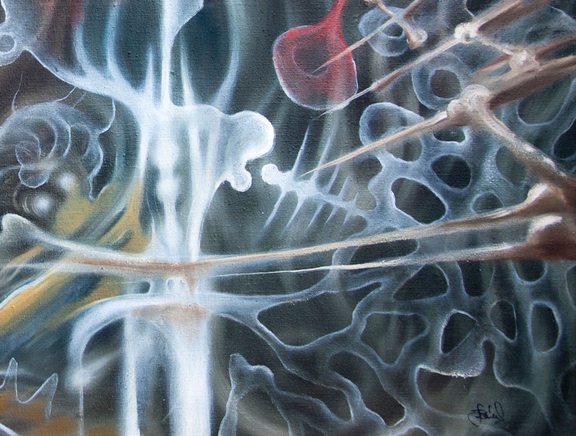 microcosmos2.jpg